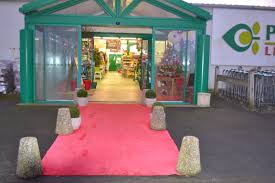 Les données personnelles communiquées seront utilisées dans le cadre de la publication de votre avis. Sas Noel 2015 Point Vert Le Jardin Ploudalmezeau Noel 2015 Noel Jardins