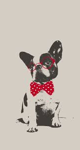 Image Discovered By Izzy Discover And Save Your Own Images And Videos On We Heart It Dog Wallpaper Iphone Dog Wallpaper French Bulldog Wallpaper