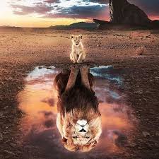 Arka Plan 2020 Resim Arka Plan Resimleri Instagram