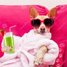 Hannah Gratton (@hannahparkin) • Facebook, Connect with friends