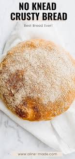 pin auf aline made recipes
