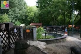 Die arbeitsblätter können sowohl von lehrern als auch von schülern benutzt werden, egal obl zu hause. Haus Natur Und Umwelt Kinderbauernhofe In Und Um Berlin