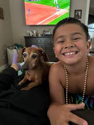 Dachshunds Are Awesome