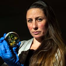 The Barry Art Museum at ODU: “Fledgling but growing fast.”