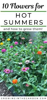Maybe you would like to learn more about one of these? 10 Flowers That Love Hot Summers And How To Grow Them Growing In The Garden Summer Plants Annual Flowers Florida Gardening
