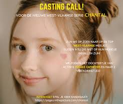 Voor een nieuwe West-Vlaamse serie is Anntourage