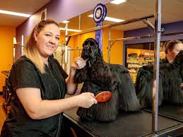 He offers a personalized service that specializes in asian fusion, breed cuts, and pet trims. Dog Grooming Tips Petbarn On How To Keep Your Dog Clean Dogs Of Oz The Advertiser