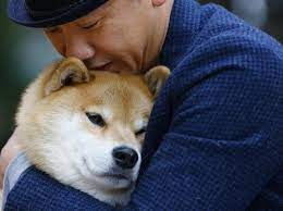 Duh Ada Masalah Besar Hantui Kripto Shiba Inu Waspada