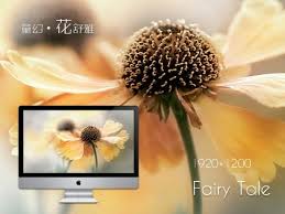 Beautiful scenery beautiful wallpaper scenery scenery wallpaper beautiful wallpaper high definition picture sun clouds water blue sky sky landscape white clouds grass nature trees vegetation landscapes flowers high definition pictures pattern rocks mountains sea light beautiful natural scenery streams. Flowers Scenery Free Stock Photos Download 11 977 Free Stock Photos For Commercial Use Format Hd High Resolution Jpg Images