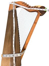 Image result for Harpachne