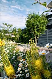 Mischpflanzung Naturnah Garten Mit Holzdeck Und Mischpflanzung Parc S Gartengestaltung Gartengestaltung Naturnaher Garten Garten