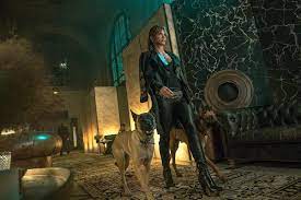 Use o fastdrive para baixar, esta com uma ótima velocidade sem limites! John Wick 3 Parabellum Filme Completo 2019 Dublado Cinestar10 Gowatch Halle Berry Movies Halle Berry Movie Wallpapers