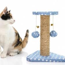 Howtotraincats Juguetes Caseros Para Gatos Juguetes Para Gatos Juegos Para Gatos Caseros