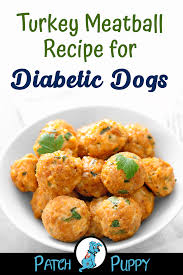 The second meal is then given between. Dog Treat Recipes Turkey Meatballs For Diabetic Dogs Kitchen Interiordesign Interiordesi Healthy Dog Food Recipes Dog Food Recipes Diabetic Dog Treat Recipe