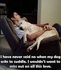 How Can You Not Do This I Cuddle With My Furry Kids At Every Opportunity Milye Sobaki Shenki Nemeckoj Ovcharki Sobaki