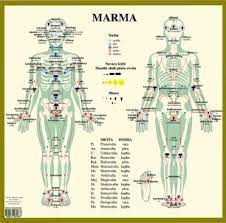 Preview — yoga by andrey safronov. Classical Appreciation Of Yogic Anatomy Physiology Rachna Kriya Shariram Ancient S Best