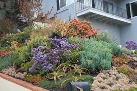 Vida Suculenta Succulents Gardens By David Feix Landscape Design Succulent Landscape Design Succulent Landscaping Water Wise Landscaping