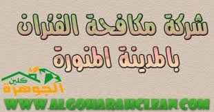 شركة مكافحة الفئران بالمدينة المنورة للايجار 01098424259 شركة مكافحة فئران في المدينة in 2021 buying furniture riyadh arabic calligraphy