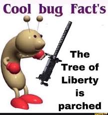 Cool Bug Fact S Ifunny Cool Bugs Funny Facts Cool Stuff
