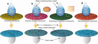 Detecting heavy metals in your water arsenic heavy metals can enter a water supply by industrial and consumer waste, or even from acidic rain breaking down soils and releasing heavy metals into. Heavy Metal Removal Applications Using Adsorptive Membranes Nano Convergence Full Text