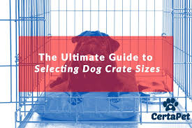 The Ultimate Guide To Selecting Dog Crate Sizes Certapet