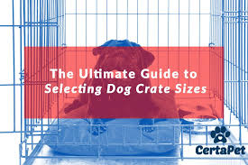 the ultimate guide to selecting dog crate sizes certapet