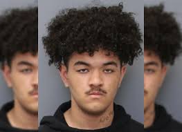 Teen indicted as an adult for bringing weed brownies, gun to school