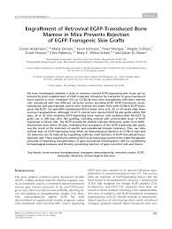 Engraftment of retroviral EGFP-transduced bone marrow in mice prevents  rejection of EGFP-transgenic skin grafts