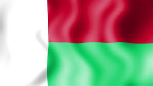 Use these color values if you need their national colors for any of your digital, paint or print projects. Hd Waving Flag Madagascar Stock Footage Video 100 Royalty Free 8255917 Shutterstock