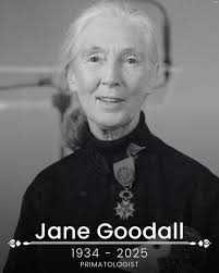 Jane Goodall, famed researcher and conservationist, dead at 91  https://www.northernnewsnow.com/2025/10/01/jane-goodall-famed-chimpanzee-researcher-conservationist-dead-91/