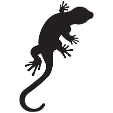 Pochoir Lezard Gratuit A Imprimer Pochoir Silhouette Pochoir Pour Animaux Pochoirs Imprimables Gratuits