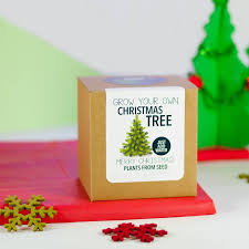 Grow Your Own Christmas Tree Kit Christmas Tree Kit Christmas Tree Plant Grow Your Own
