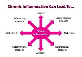 • inflammation is potentially dangerous and should be restricted. Inflammation Bralow Medical Group