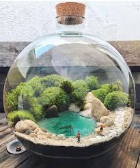 Relaxing At The Lake Lake Relaxing Terrarium Terrarium Scene Mini Terrarium