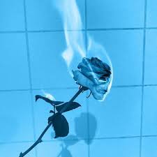 Flowers Aesthetic Grunge Tumblr Rose Https Weheartit Com Entry 328562735 Light Blue Aesthetic Blue Aesthetic Dark Blue Aesthetic Pastel
