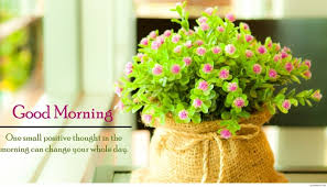 See more ideas about good morning images, . Download Good Morning Download Wallpapers And Backgrounds Teahub Io