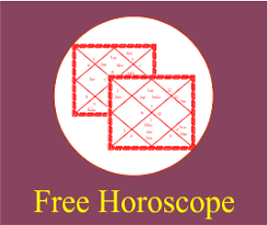 Astrology Software On Desktop Vedic Lal Kitab Vastu