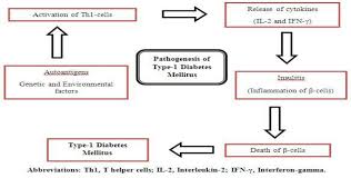 A Schematic Diagram For Pathogenesis Of Type 1 Diabetes