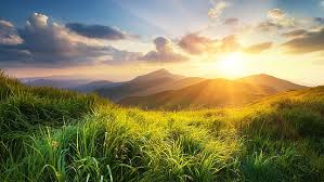 Hd Wallpaper 5k Good Morning Mountain Hill Mount Scenery Meadow Nature Wallpaper Flare Find over 100+ of the best free mountain morning images. 5k good morning mountain hill mount