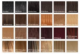 Buy Human Hair Color Chart From Arrow Exim India Id 336806