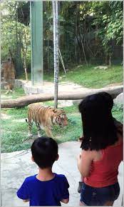 An area filled with adventurous attractions sure to get the sunway lagoon map. Sunway Lagoon Wildlife Park And Petting Village Home Is Where My Heart Is