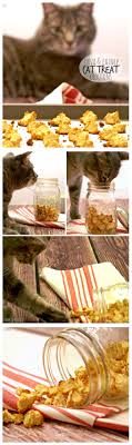 Homemade Cat Treats Homemade Salmon Catnip Cat Treat Croutons My Nourriture Pour Chat Faite Maison Friandises Pour Chat Nourriture Pour Chiens Faite Maison