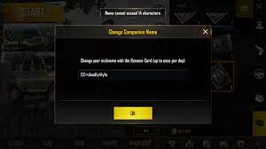 Glitch I Want Do Change My Name But It Says My Name Cannot Exceed 14 Characters When It Is Exacty 14 Characters Would Like A Fix Please Pubgmobile