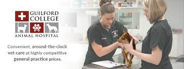After Hours Veterinary Emergency Clinic Guilford College Animal Hospital Home Facebook