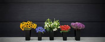 Maybe you would like to learn more about one of these? Market Blooms Fresh Flowers Everyday In The North Market