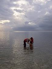 Everglades national park is 20 minutes away. Biscayne National Park Wikipedia