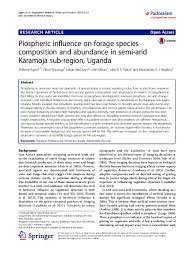 Image result for Otiophora pauciflora