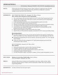 Just fill in your details, download. Account Executive Sample Resume Examples 2019 Lebenslauf Vorlage