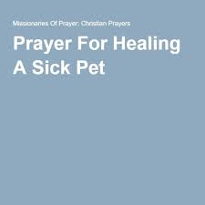 O lord, we thank you for all of the joy that you have given us through our wonderful dog, _____. Prayer For Healing A Sick Pet Sick Pets Prayers For Healing Prayer For Sick Dog