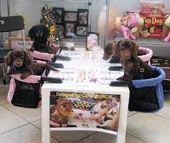 The Doggie Bag Cafe Is The First Restaurant In America Just For Dogs Catering To Your Pup S Very Desire They Serve Organic Cooked Dogs Pet Spaces Dog Friends